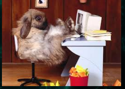 2017-03-18 10_53_55-osterhase pc - Google-Suche.png