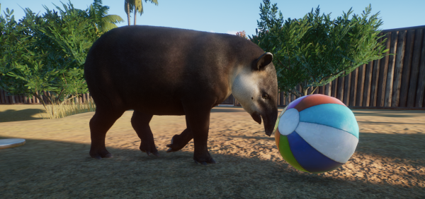 Tapir mit Ball