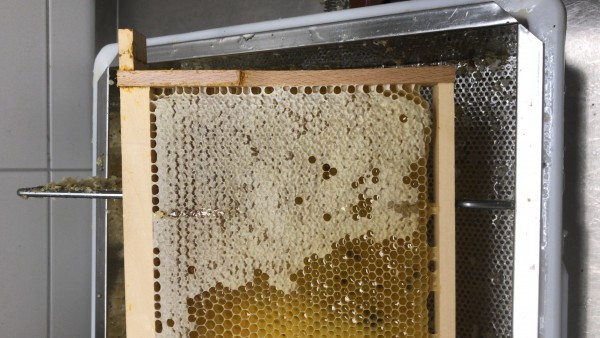 Geschlossener Honig